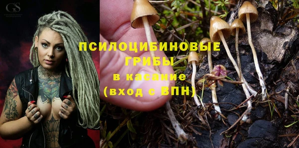 спиды Алексеевка