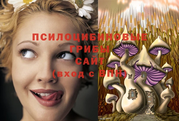 марки lsd Алексин
