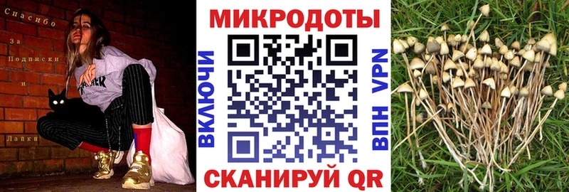 Псилоцибиновые грибы Magic Shrooms  что такое   blacksprut зеркало  Нарьян-Мар 